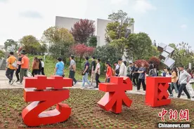 香港青年走进江西萍乡乡村艺术区 感受田园与艺术结合图片