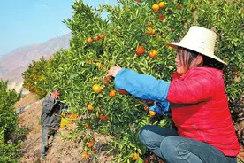 新春走基层丨进新村看变化图片