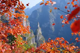 色彩绚烂 重庆冬景美爆了！图片