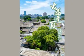 福州人的夏天，从荔枝自由开始图片