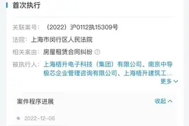 95后董事长的芯片局：号称要投400亿，却付不了66万工程款图片