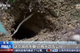 新物种75种！海南热带雨林国家公园持续“上新”图片