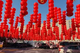 市市如意过大年——逛花市过大年，点燃 “美丽经济”迎团圆图片