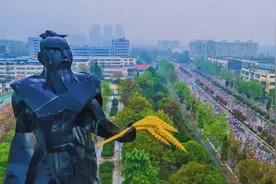 “杨马”十年 与城共进图片
