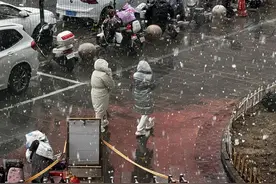 “北京下雪”刷屏朋友圈！桃花与雪花同框美翻了图片