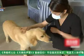 因为一张照片，她说“没受过这样的耻辱”，物业也有话要说图片