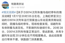 列车撞上飞鸟相当于撞上“子弹”，铁路列车也要防鸟撞图片
