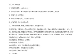 715万元“丑”雕塑背后：中标公司老板有多个山寨头衔图片