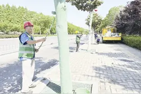 亳州市区耐阴树木涂上“防晒霜”  还可起到防虫、保水分作用图片