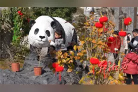 凤凰：与“国宝”共度热闹春节图片
