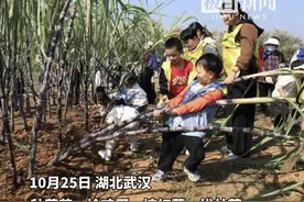 600多名孩子在这里体验耕种的乐趣图片
