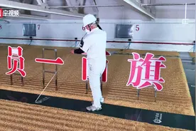 现场短新闻｜“大国粮仓”到底长啥样？图片