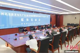 河北持续加强海外知识产权保护 推动企业更好“走出去”图片
