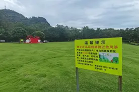 禁止！龟山公园大草坪不能做这事了图片