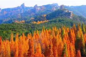 今年年底前，沿黄九省区的朋友游崂山门票半价！图片