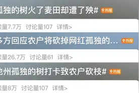 感受“孤独的树”之美，也要有边界！图片