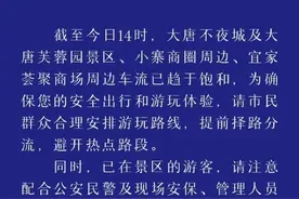 陕西西安大唐不夜城等地人流量及车流量已趋于饱和  游客出行需注意图片