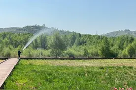 “碳”路先行｜山西静乐：厚植生态底色 汾河流域生态保护修复显成效图片