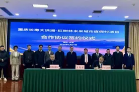 引领文旅蝶变赋能城市运营 红树林在重庆又干了件大事图片
