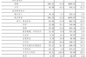 前11个月河南省社会消费品零售总额同比增长6.1％图片
