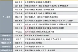 公司股票可能被实施退市风险警示 13连板并购重组概念牛股提示风险|盘后公告集锦图片