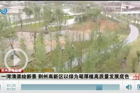 【清渠洁岸·共同缔造】纪南文旅区扎实推进河道沟渠整治一湾清渠绘新景 荆州高新区以“绿”为笔 厚植高质量发展底色图片