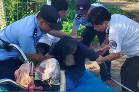 七旬老人路上中暑，民警撑起一片“阴凉”图片