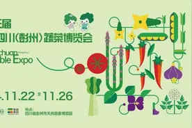 好蔬菜，从彭州出发！第十三届彭州菜博会11月22日盛大开启图片