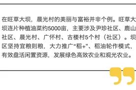 油菜花香、锌硒米香！绥阳旺草大坝春光无限好图片