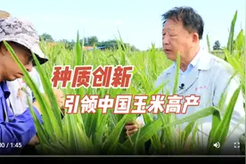 山东民企的“科技与狠活”|种质创新 引领中国玉米高产图片