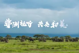 “精彩非洲”——布基纳法索图片