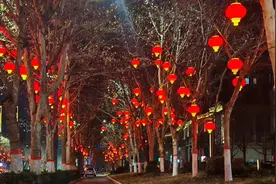 流光溢彩迎新春！郑州街头氛围感拉满图片