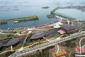 从白洋淀芦苇“平衡收割”解码雄安生态治理路径图片
