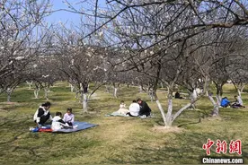 2025萝岗香雪文化季启幕图片