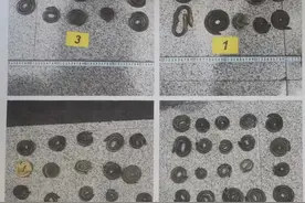 网上开“滋补店”，老板非法收购、销售二级保护动物制品获刑图片