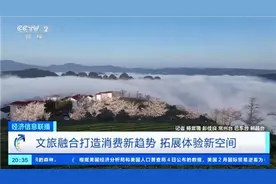 采茶、炒茶……在万亩茶园体验采茶工的一天！图片