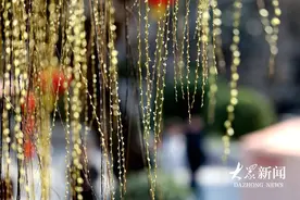 柳树吐新绿，气温回升春意浓图片