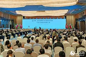 重点寻求新能源、数字经济等领域合作  中国-海合会国家产业与投资合作推介会在厦举办图片
