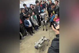 DeepSeek低调参与GDC大会，宇树科技表演“机器人遛机器狗”图片