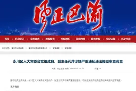 重庆市永川区人大常委会党组成员、副主任孔萍接受审查调查图片