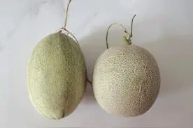 科普公益丨这种水果很甜，热量却很低，还是补水好帮手！图片