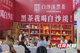 白沙溪“盛装出席”第十九届潍坊春季茶博会图片