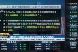 机构合力封板东湖高新  游资巨资买入科恒股份视频封面
