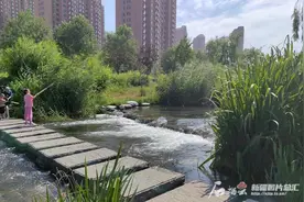 清清水磨河 悠悠润我心图片