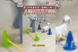 武汉00后女生开“宠物托儿所”，早十晚八，教学握手、拒食、餐前等待等基本回令图片