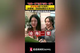 “沧海一粟”还是“浮海一粟”？苏轼真迹展出引讨论图片
