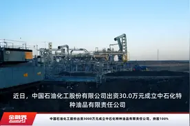 中国石油化工股份出资3000万元成立中石化特种油品有限责任公司，持股100%视频封面