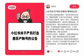 严厉打击，绝不姑息！小红书开展史上最严黑灰产账号治理行动图片