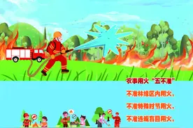 2025年2月16日｜绿色家园是我家 森林防火靠大家图片
