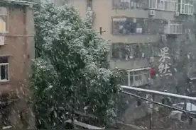 谁家下雪先打雷啊？西安清晨下雪一声巨响市民被吓醒，当地气象局：冬雷情况虽然少见，但并非不会发生 @阿坤的汪汪图片